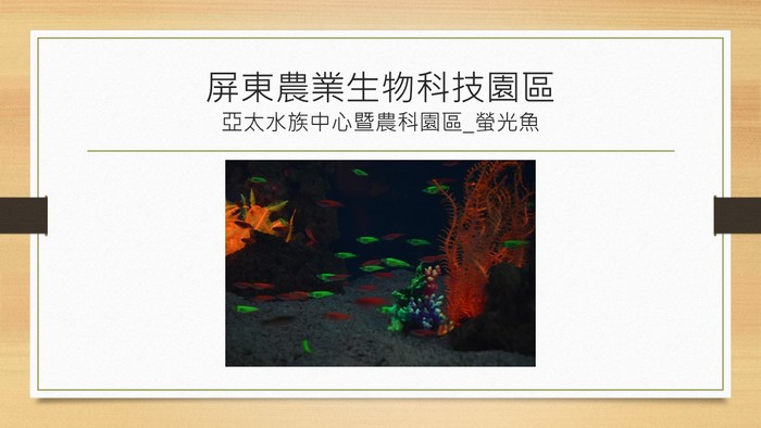 103.12.12企業參訪圖片