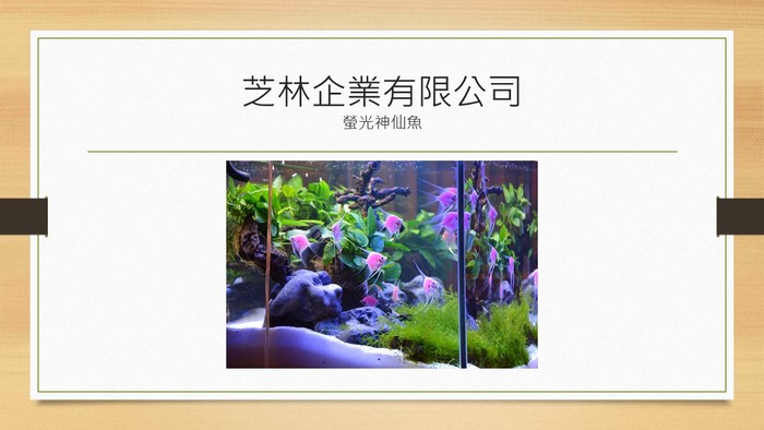 103.12.12企業參訪圖片