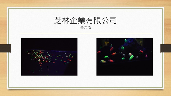 103.12.12企業參訪圖片